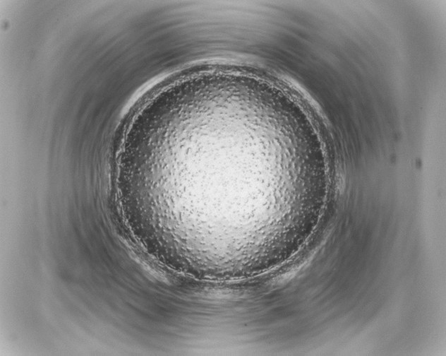 X0000087570829200705112210