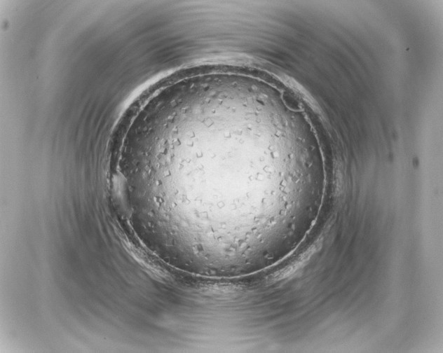 X0000087570830200705112210