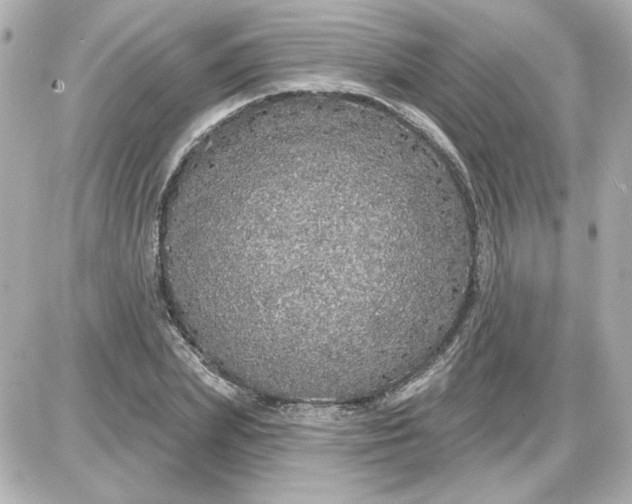 X0000087570831200705112210
