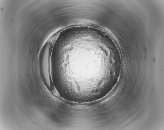 X0000087570835200705112210