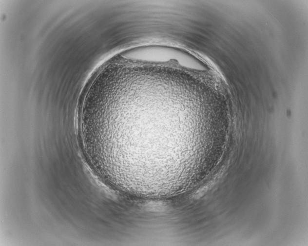 X0000087570839200705112210