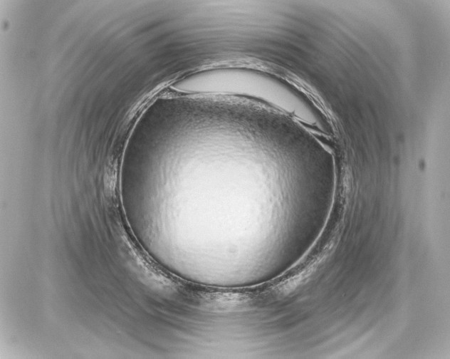 X0000087570841200705112210