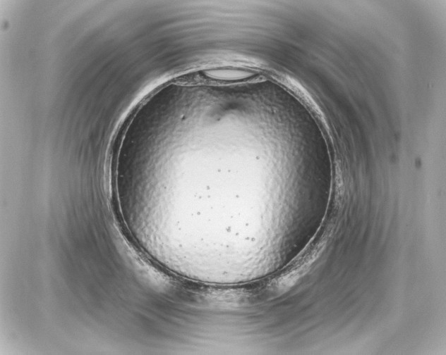 X0000087570843200705112210