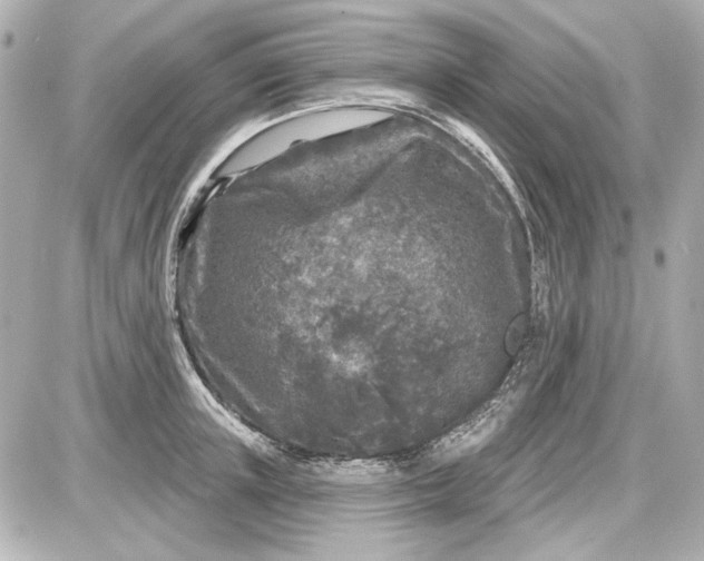 X0000087570851200705112211
