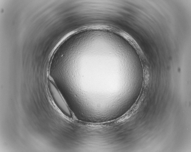 X0000087570852200705112211