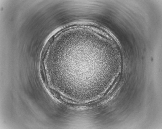 X0000087570853200705112211