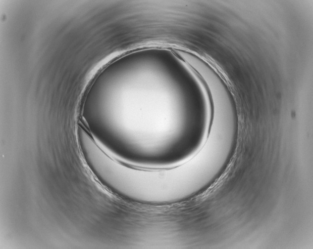 X0000087570854200705112211