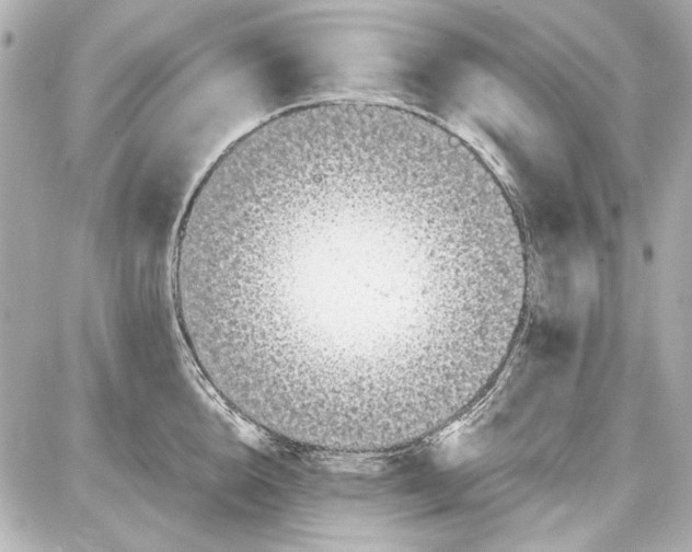 X0000087570856200705112211
