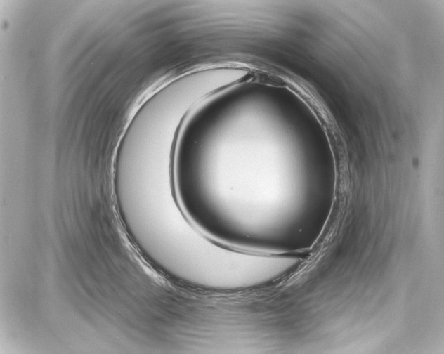 X0000087570858200705112211