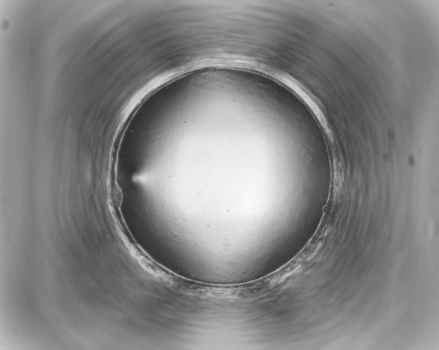 X0000087570861200705112211