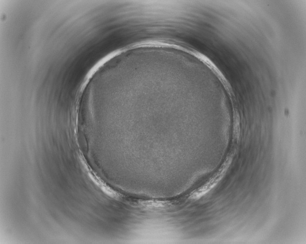 X0000087570862200705112211