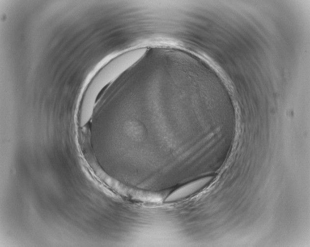 X0000087570864200705112211