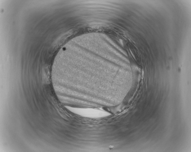 X0000087570868200705112210