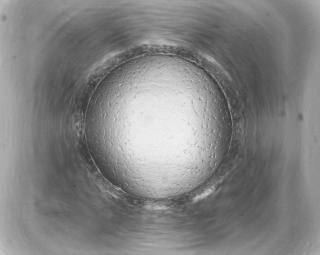 X0000087570870200705112210