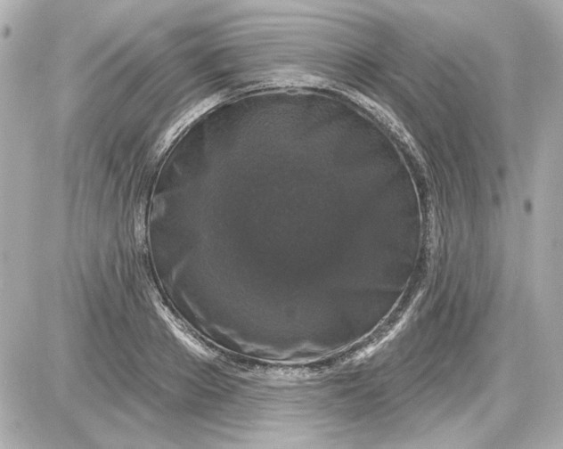 X0000087570889200705112210
