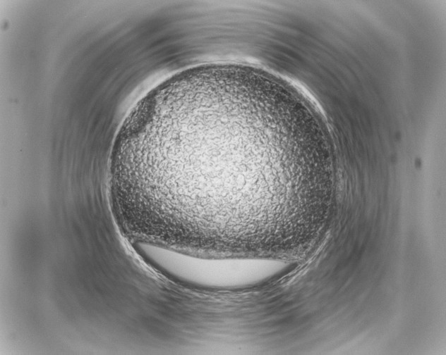X0000087570895200705112209