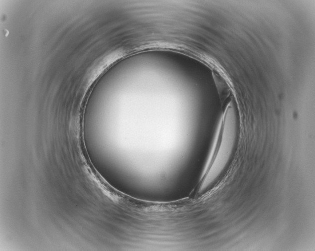 X0000087570898200705112209