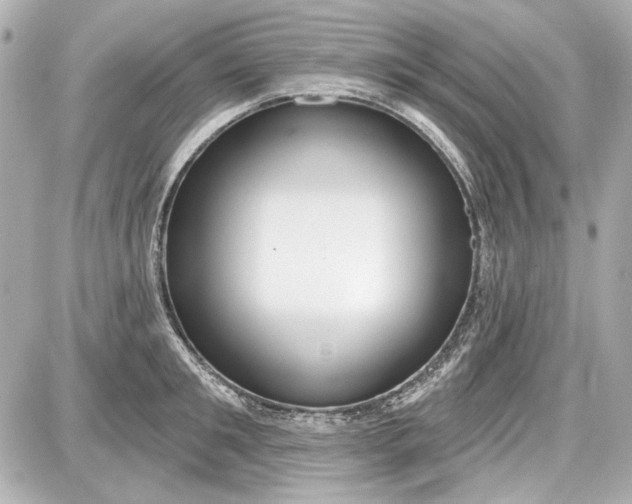 X0000087570901200705112209
