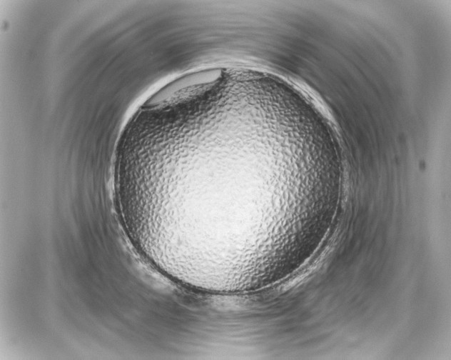 X0000087570904200705112209