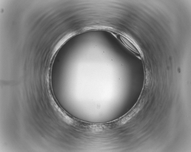 X0000087570906200705112209