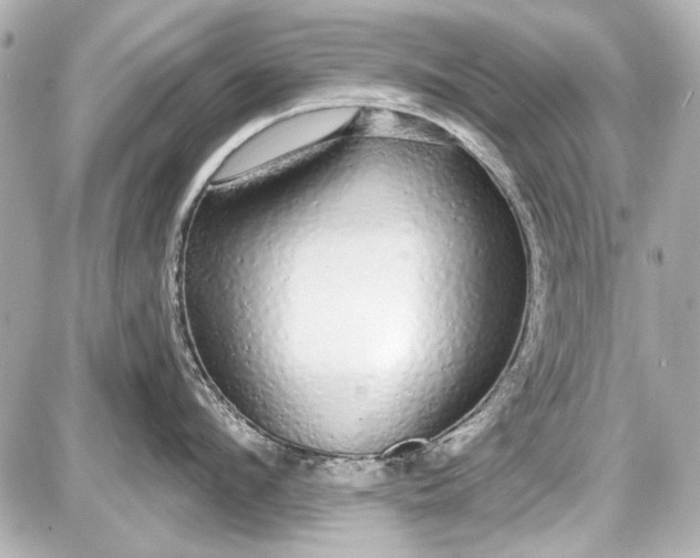 X0000087570912200705112209