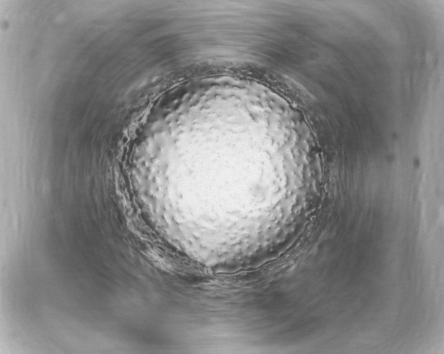 X0000087570917200705112208