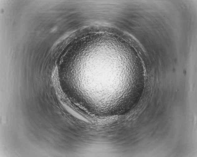X0000087570919200705112209