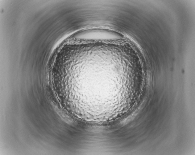 X0000087570925200705112209