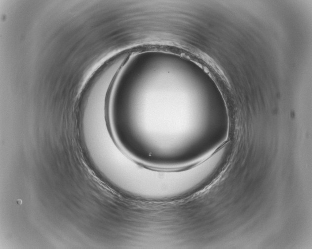 X0000087570926200705112209