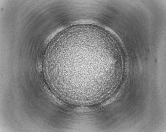 X0000087570929200705112209
