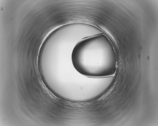 X0000087570932200705112209