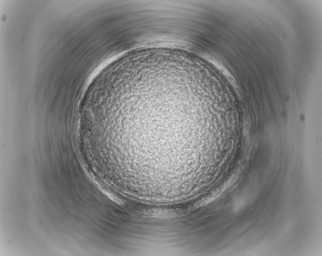X0000087570933200705112209