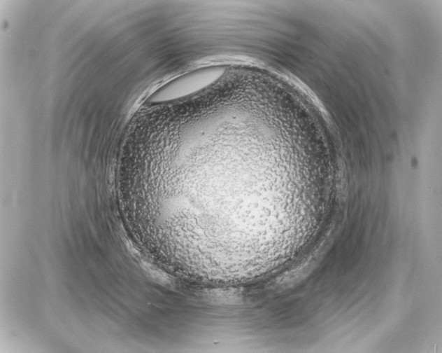 X0000087570937200705112209