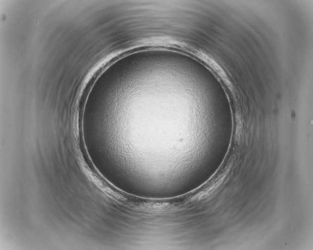 X0000087570939200705112209
