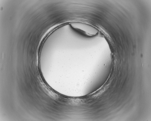 X0000087570940200705112209