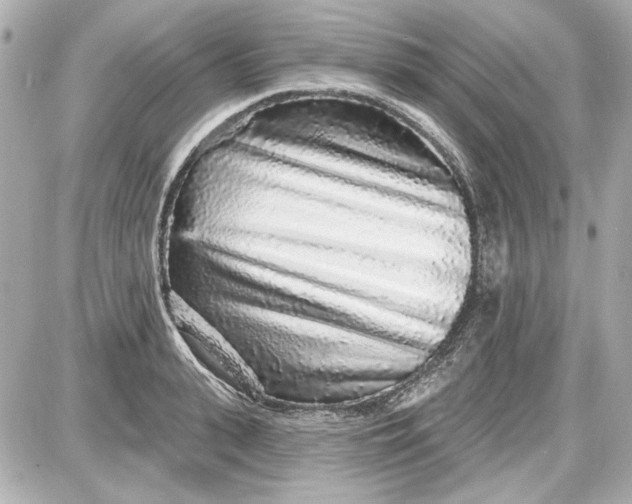 X0000087570943200705112209