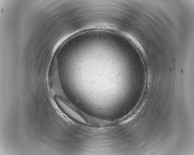 X0000087570944200705112209
