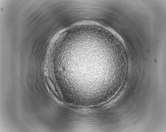 X0000087570953200705112209