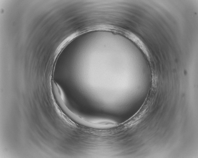 X0000087570954200705112209