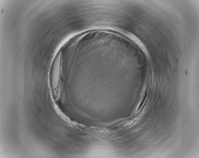 X0000087570958200705112209