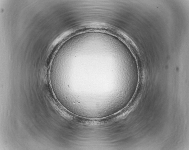X0000087570970200705112208