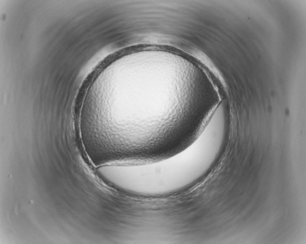 X0000087570972200705112208