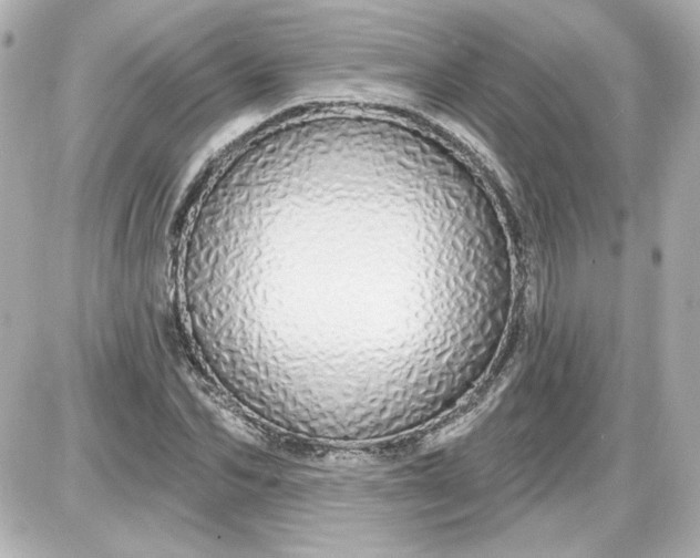 X0000087570974200705112208