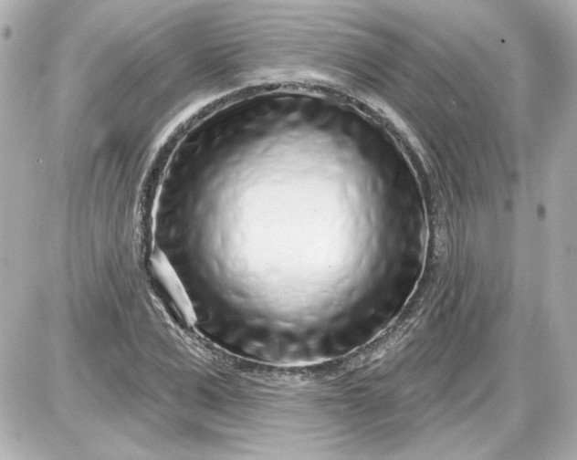 X0000087570975200705112208
