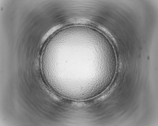 X0000087570978200705112208