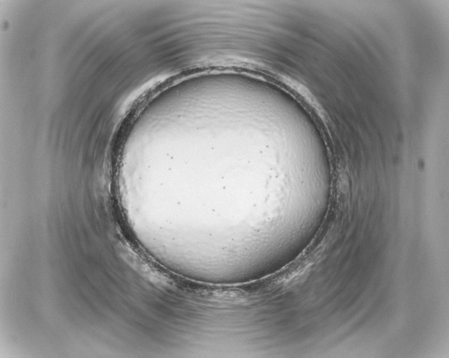 X0000087570979200705112208