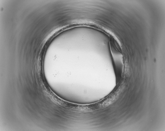 X0000087570983200705112208
