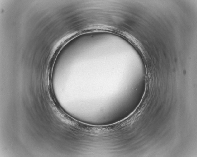 X0000087570987200705112208
