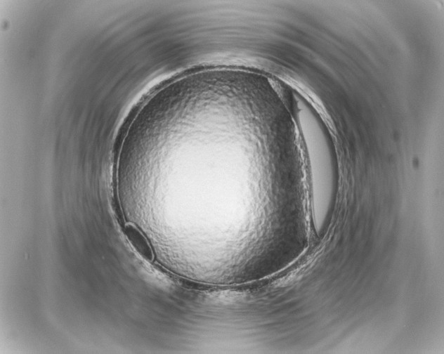 X0000087570992200705112208