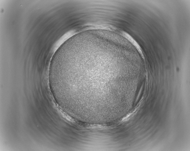 X0000087571002200705112208